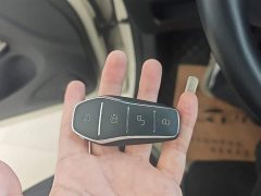 BYD Dolphin 2023 420km Freedom Edition - ფოტო 9