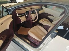 Zeekr Geely Zeekr X Five-Seat Long-Range Edition - ფოტო 16