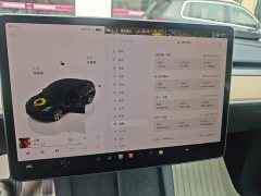 Tesla Model Y Rear-Wheel Drive - ფოტო 12