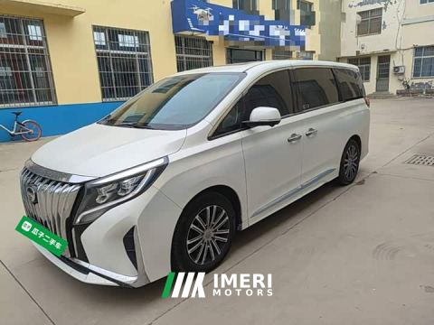 2021 GAC Aion M8 Premier Series 390T Supreme Edition