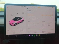 Tesla Model Y 2021 Standard Range RWD - ფოტო 12