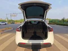 Tesla Model Y 2021 Standard Range RWD - ფოტო 19