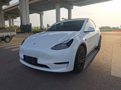 Tesla Model Y 2021 Standard Range RWD - ფოტო 2