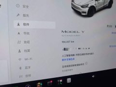 Tesla Model Y Standard Range RWD - ფოტო 12