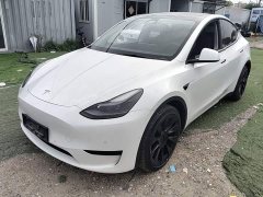 Tesla Model Y Rear-Wheel Drive - ფოტო 1