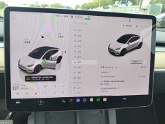 Tesla Model Y Rear-Wheel Drive - ფოტო 13