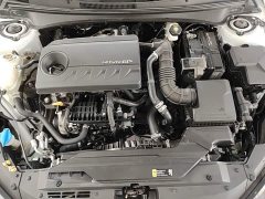 Hyundai Elantra 240TGDi DCT LUX Luxury Edition - ფოტო 20
