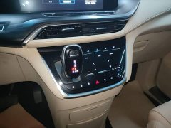 Buick GL8 ES Land Respect 653T Luxury - ფოტო 14