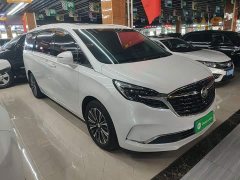Buick GL8 ES Land Respect 653T Luxury - ფოტო 4