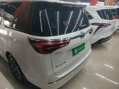 Buick GL8 ES Land Respect 653T Luxury - ფოტო 6