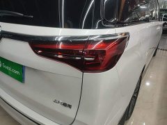 Buick GL8 ES Land Respect 653T Luxury - ფოტო 8