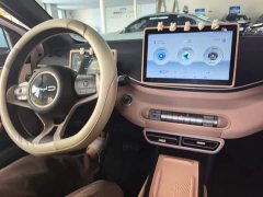 BYD Seagull 2023 Freedom Edition - ფოტო 11