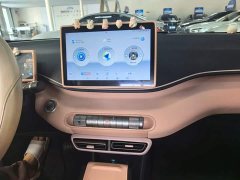 BYD Seagull 2023 Freedom Edition - ფოტო 13