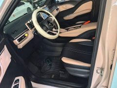 BYD Seagull 2023 Freedom Edition - ფოტო 15