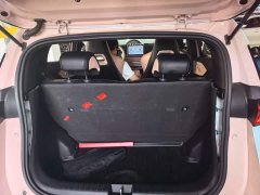 BYD Seagull 2023 Freedom Edition - ფოტო 19