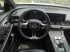 Trumpchi Leopard 2021 270T DCT J10 Flying Man Edition - ფოტო 11