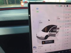 Tesla Model 3 Rear-Wheel Drive - ფოტო 10
