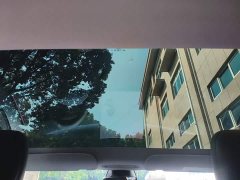 Tesla Model 3 Rear-Wheel Drive - ფოტო 14