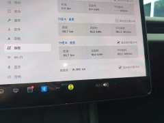 Tesla Model 3 Rear-Wheel Drive - ფოტო 8