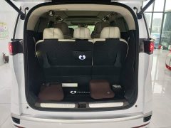 Denza BYD Denza D9 2024 DM-i 980 Four-Wheel Drive Premium - ფოტო 19