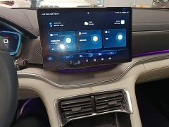 BYD Song Plus New Energy 2021 DM-i 110KM Flagship Plus - ფოტო 13