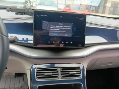 BYD Qin PLUS EV 500KM Luxury - ფოტო 13