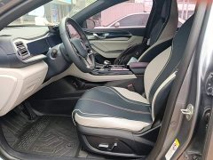BYD Qin PLUS EV 500KM Luxury - ფოტო 15