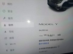 Tesla Model Y Rear-Wheel Drive - ფოტო 12