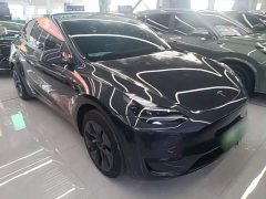 Tesla Model Y Rear-Wheel Drive - ფოტო 4