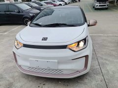 Flower Fairy Jimei Edition 302km Luxury - ფოტო 3