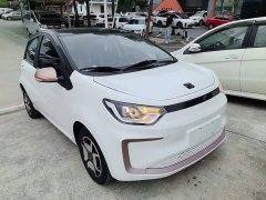 Flower Fairy Jimei Edition 302km Luxury - ფოტო 4