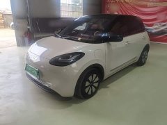Wuling Binguo 333km Joy Edition - ფოტო 1