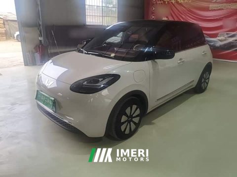 2024 Wuling Binguo 333km Joy Edition - ავტომობილი ჩინეთიდან
