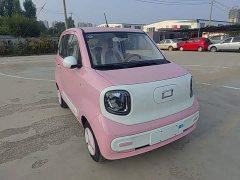 FAW Besturn Xiaoma 222km Colorful Edition - ფოტო 4