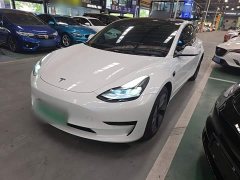 Tesla Model 3 Standard Range RWD Upgrade - ფოტო 1