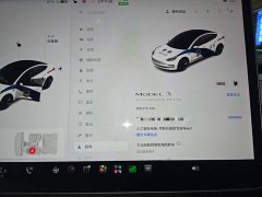 Tesla Model 3 Standard Range RWD Upgrade - ფოტო 12