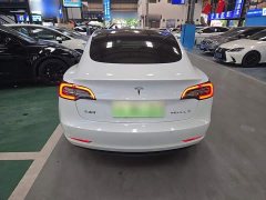 Tesla Model 3 Standard Range RWD Upgrade - ფოტო 6