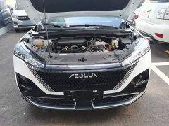 Dongfeng Haohang DH-i 1.5T Luxury - ფოტო 20