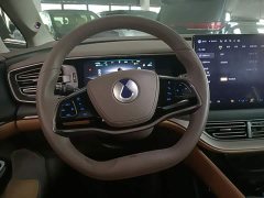 Denza D9 2022 DM-i 970 AWD Flagship - ფოტო 11