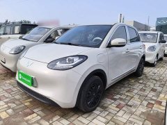 Wuling Binguo 203km Light Enjoy Edition - ფოტო 1
