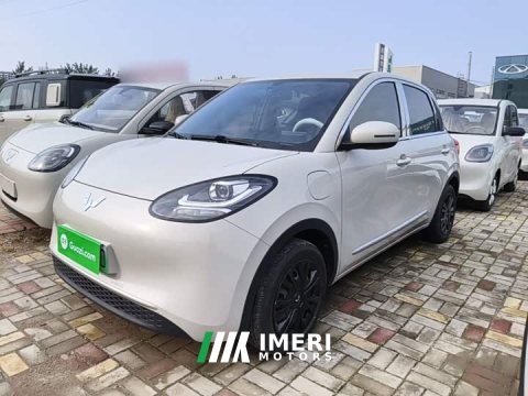 2024 Wuling Binguo 203km Light Enjoy Edition - ავტომობილი ჩინეთიდან