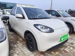 Wuling Binguo 203km Light Enjoy Edition - ფოტო 4