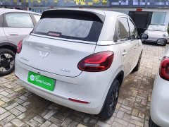 Wuling Binguo 203km Light Enjoy Edition - ფოტო 7