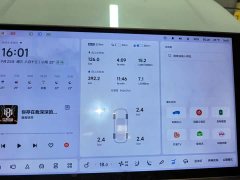 Li Auto L6 Pro - ფოტო 12