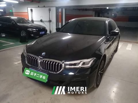 2023 BMW 5 Series 530Li Premier M Sport Package - ავტომობილი ჩინეთიდან