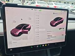 Tesla Model Y 2023 Rear-Wheel Drive - ფოტო 12