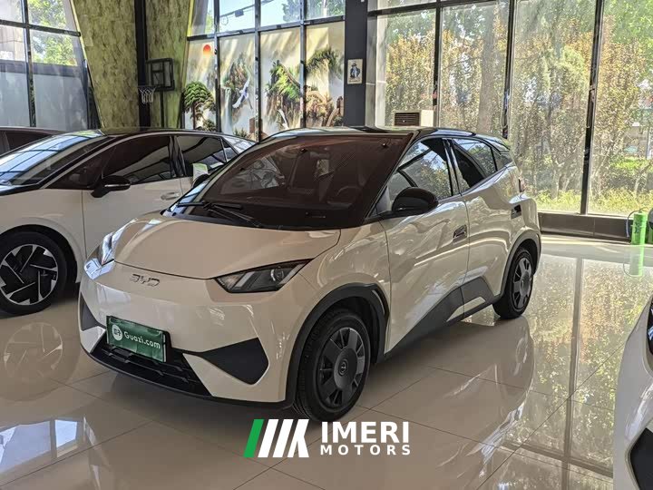 BYD Seagull Smart Drive 305km Vitality Edition - ავტომობილი ჩინეთიდან