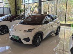 BYD Seagull Smart Drive 305km Vitality Edition - ფოტო 1