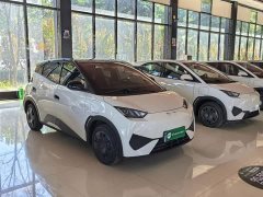 BYD Seagull Smart Drive 305km Vitality Edition - ფოტო 4