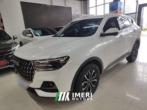 2024 Haval H6 2023 National Trend Edition 1.5T Automatic Urban Version - ავტომობილი ჩინეთიდან